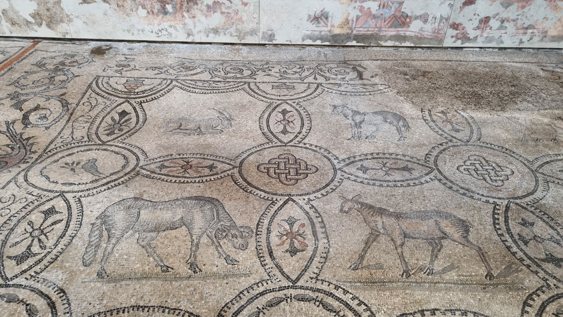 Il pavimento in mosaico della basilica particolare